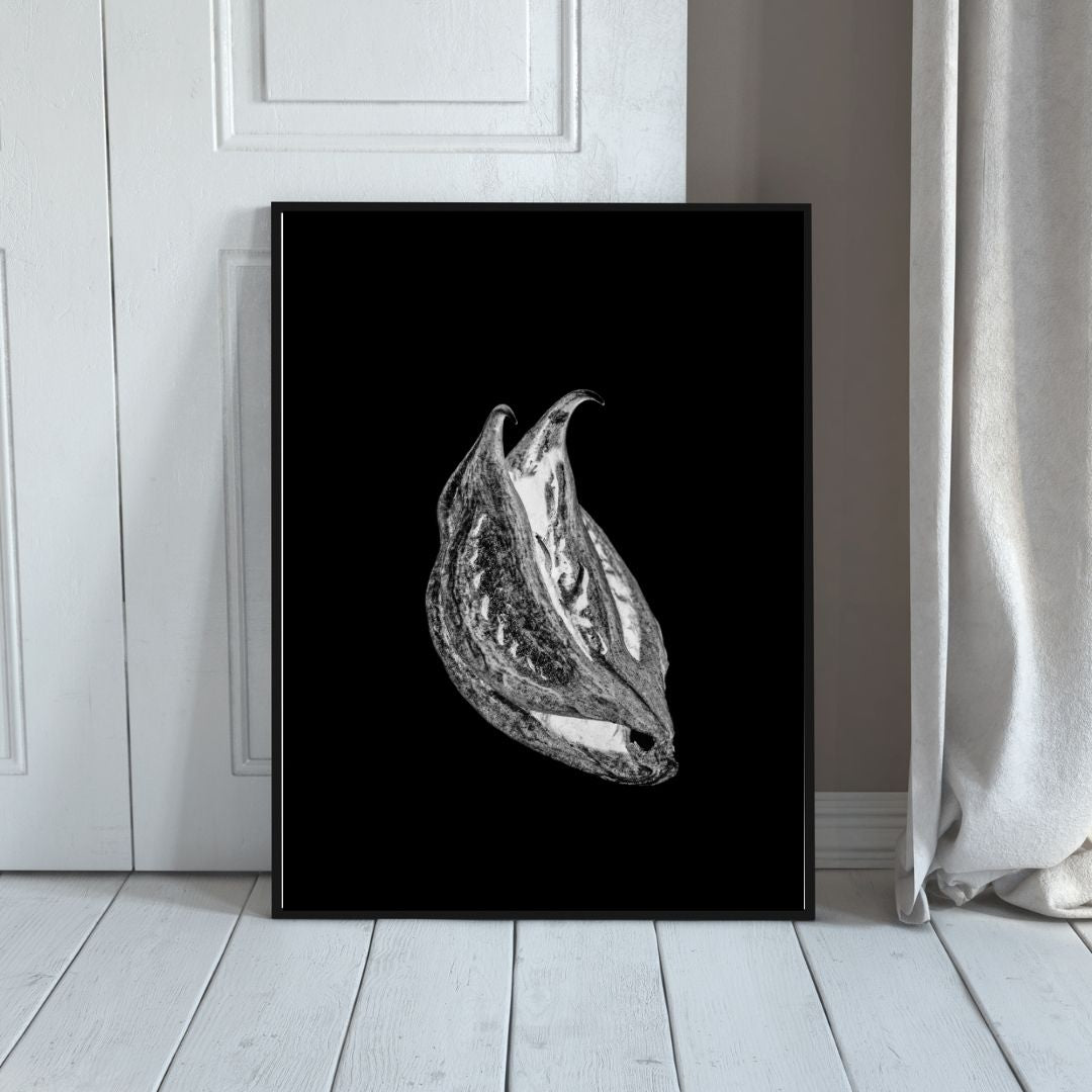 Poster: Paulina Mirowska, seed #4, from Common Vulgaris, 2022