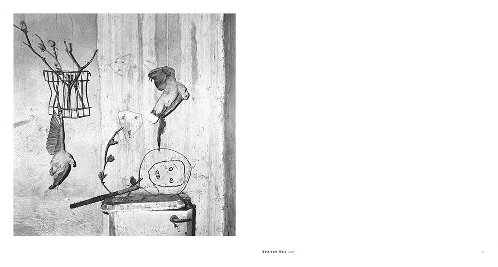 Roger Ballen. Asylum of the Birds