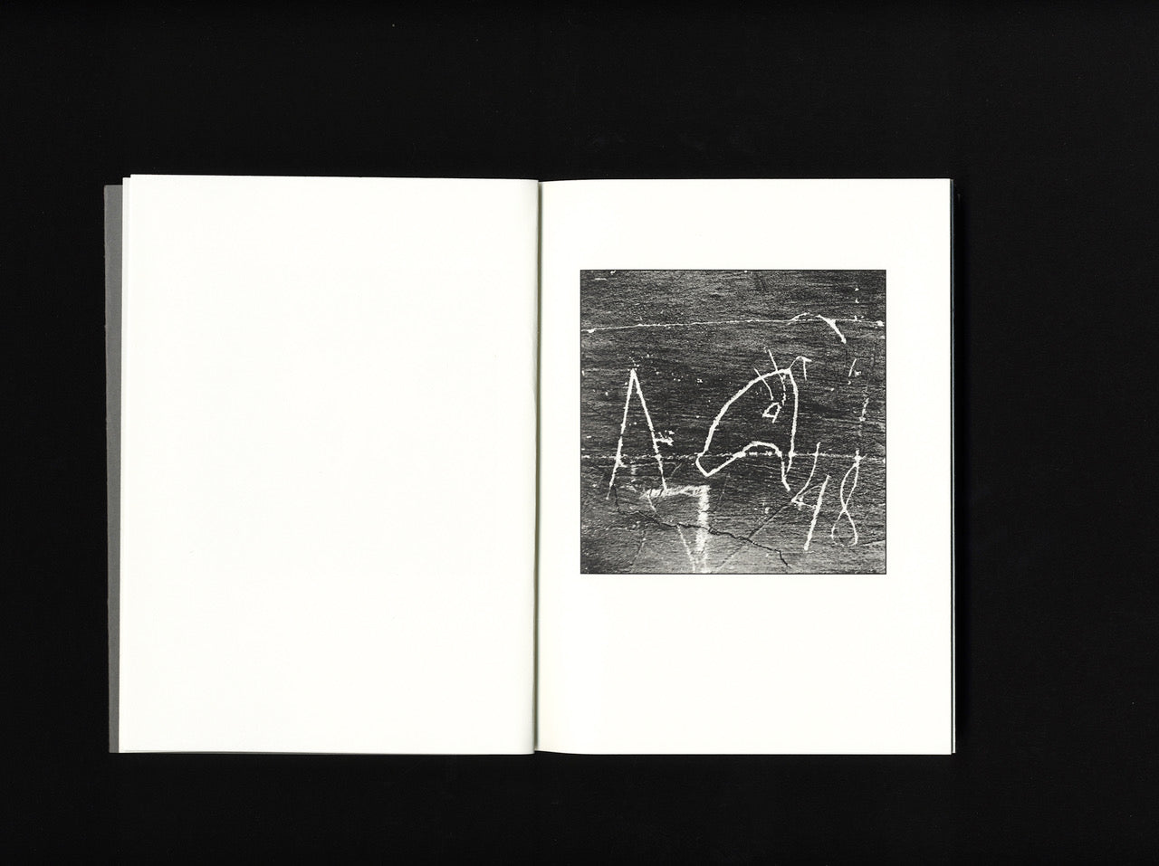 Aija Bley. Signs