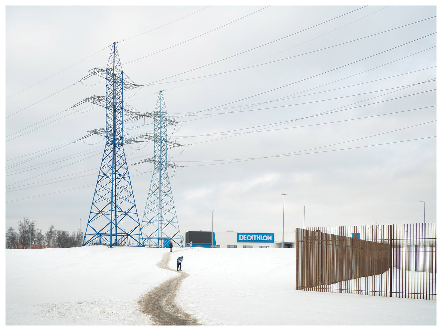 Alexander Gronsky. Print for Ukraine, 16