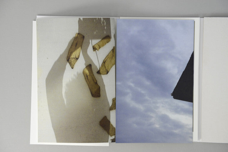 Anne Golaz. Corbeau vol 2