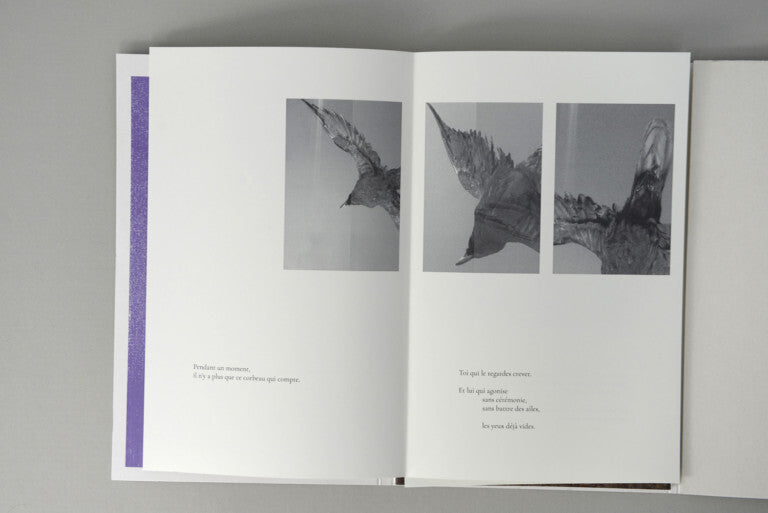 Anne Golaz. Corbeau vol 2