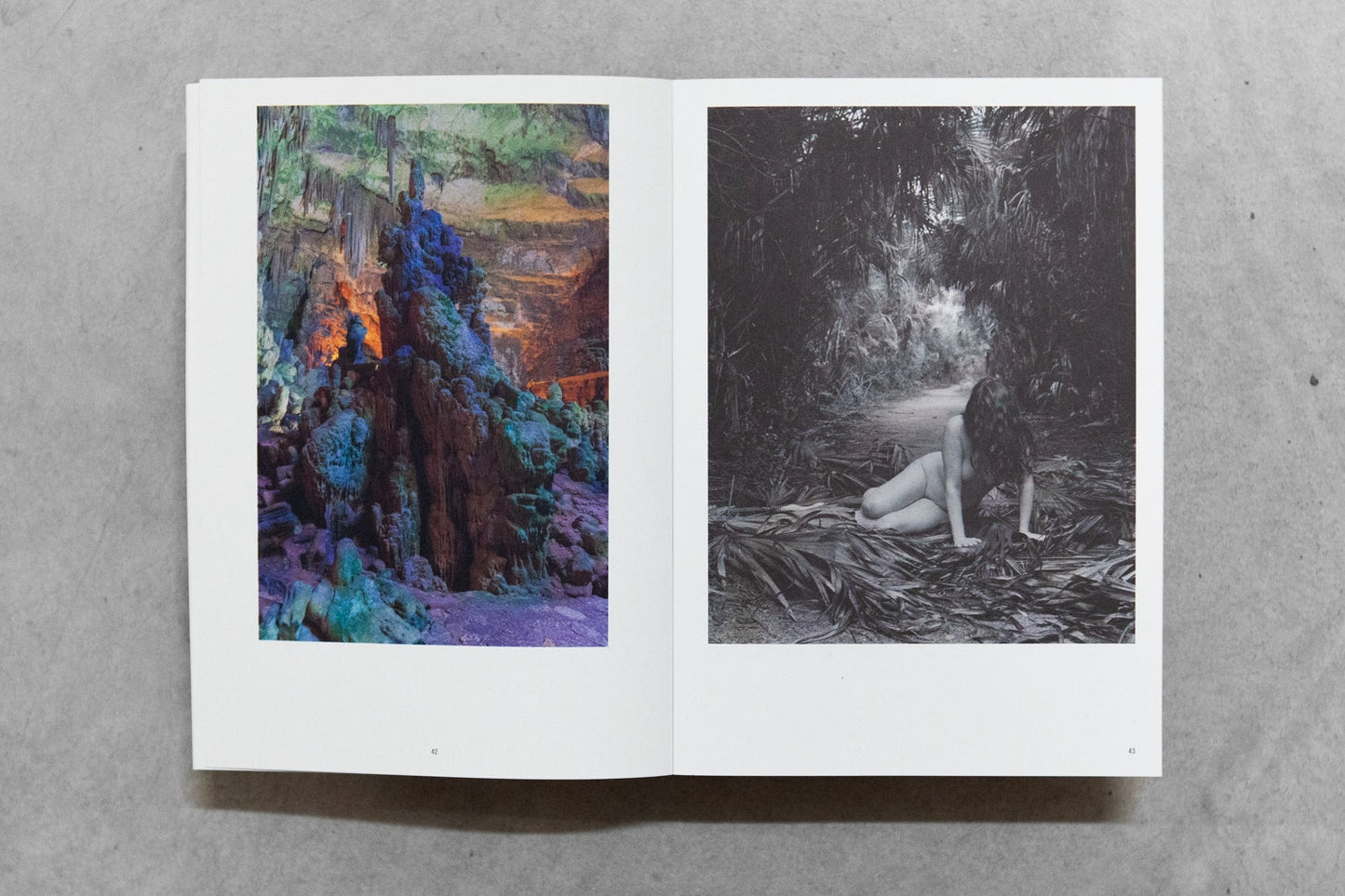 Der Greif 15