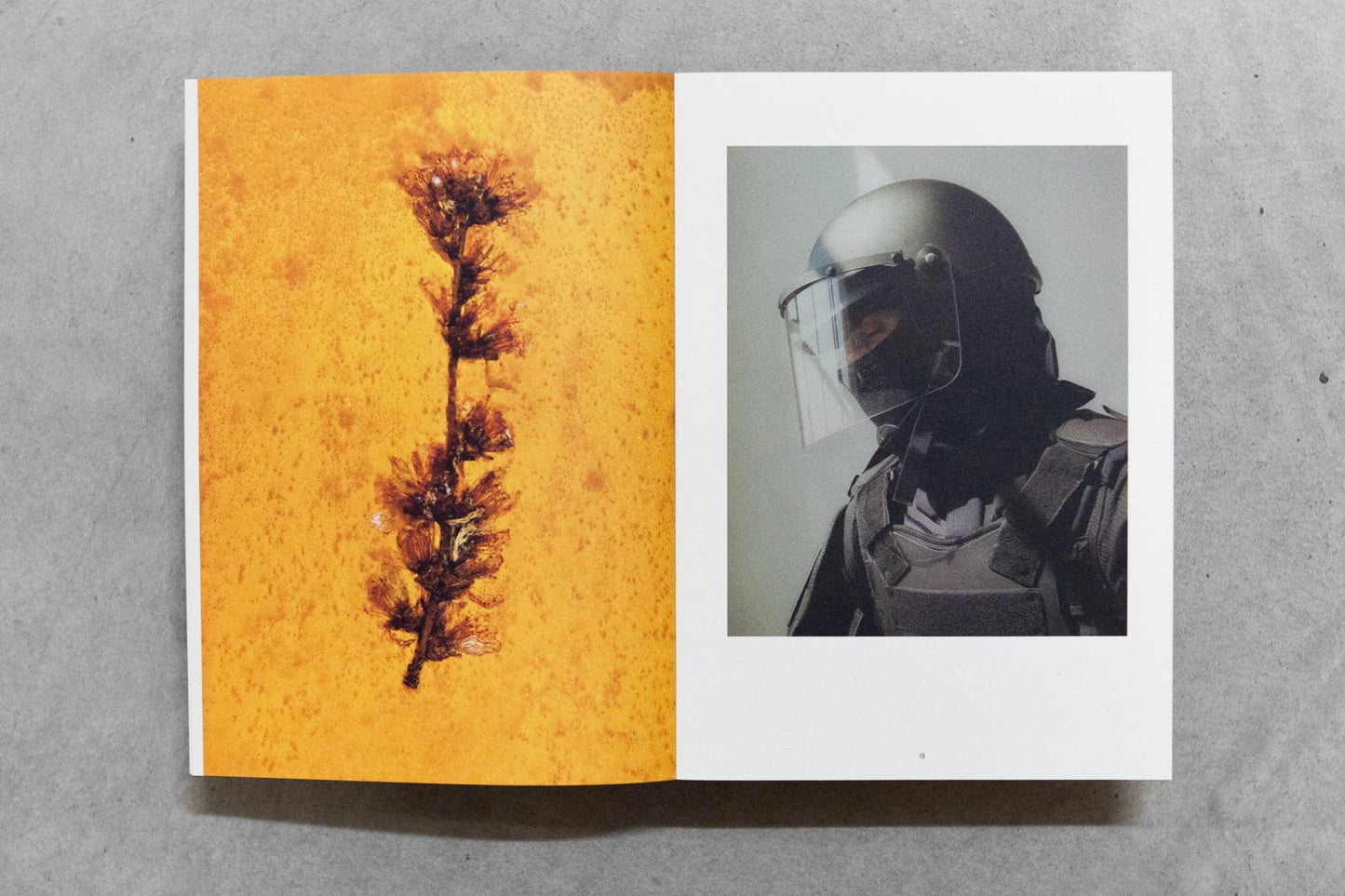 Der Greif 15