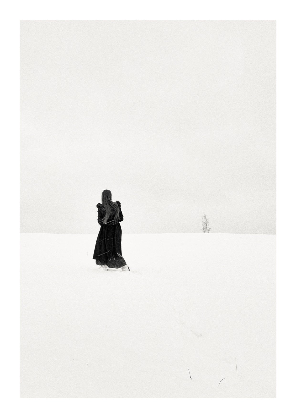 Her Northern Roots. Postcard Set of 12