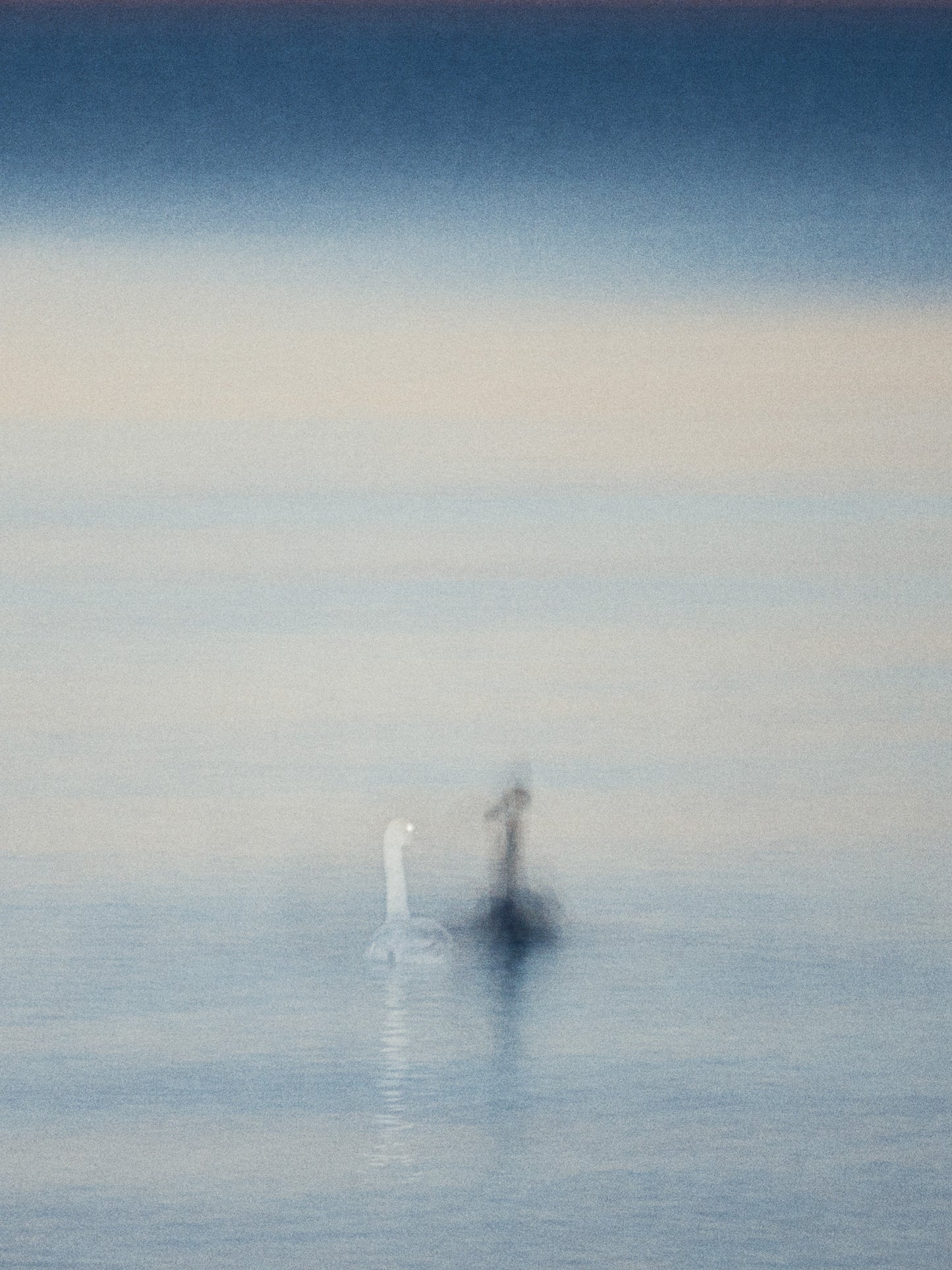 Hiro Tanaka. Bolzo