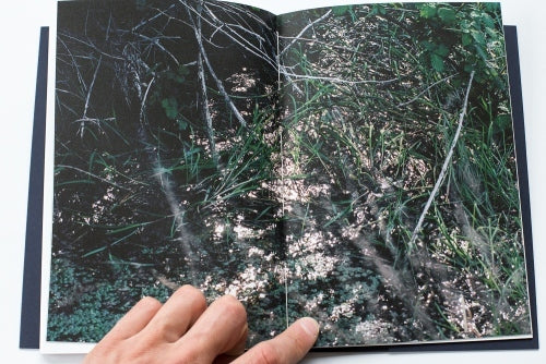 Kārlis Bergs. Once a Dream Did Weave a Shade