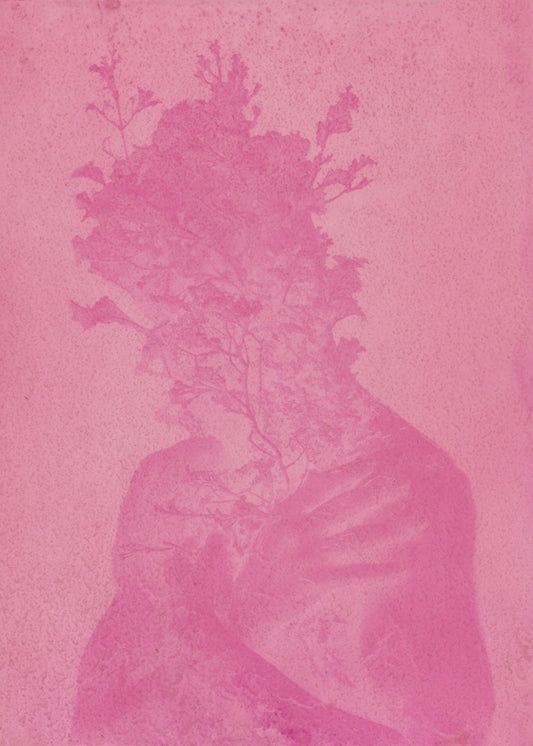 Poster: Kristīne Krauze-Slucka, Anthotype