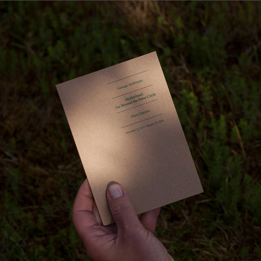 Georgs Avetisjans. Diary Entries