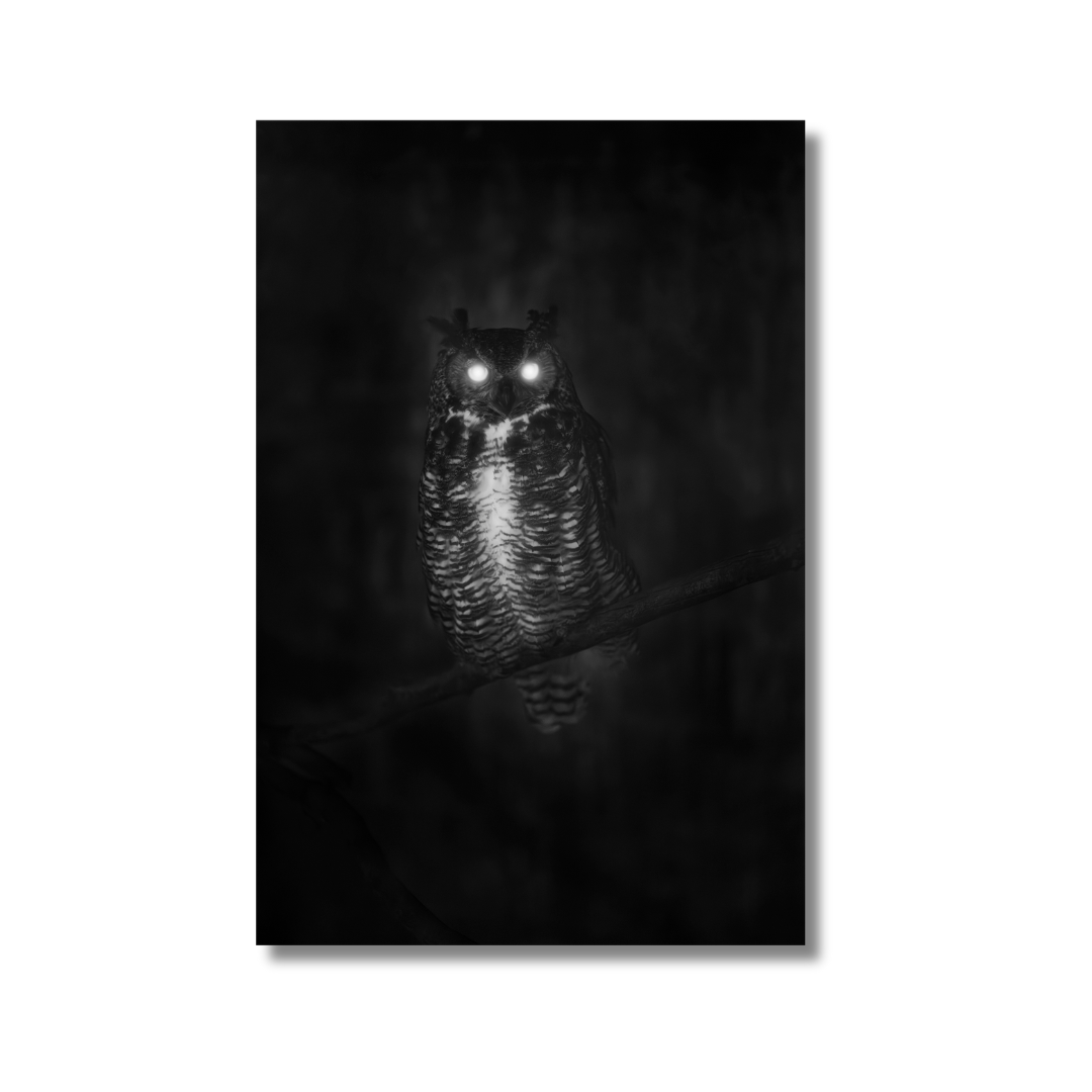 Poster: Nicola Russo, Namaki