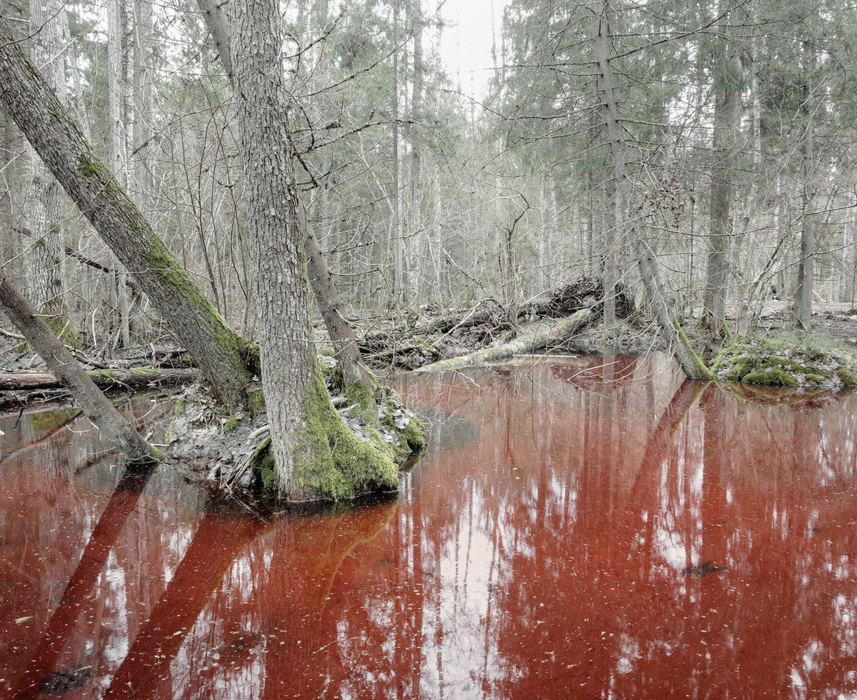 Reinis Hofmanis. Untitled from UN