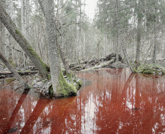 Reinis Hofmanis. Untitled from UN