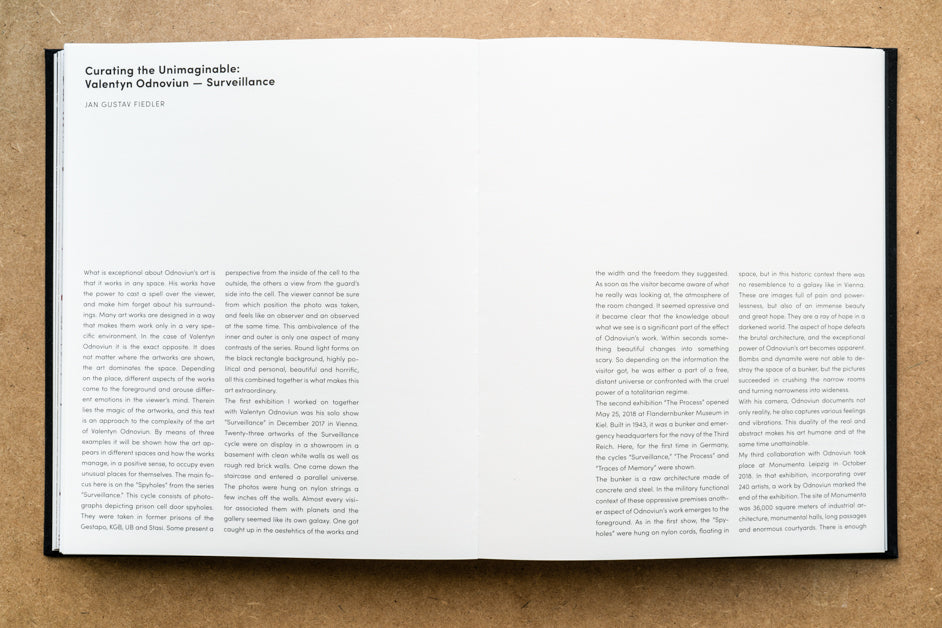 Valentyn Odnoviun. Surveillance. A Typology of Oppression