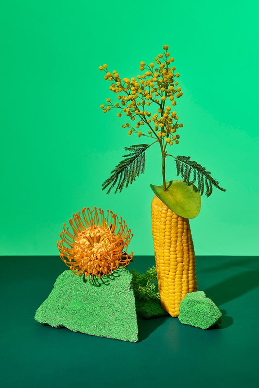 Poster: Zane Priede, Continuous Gardens I