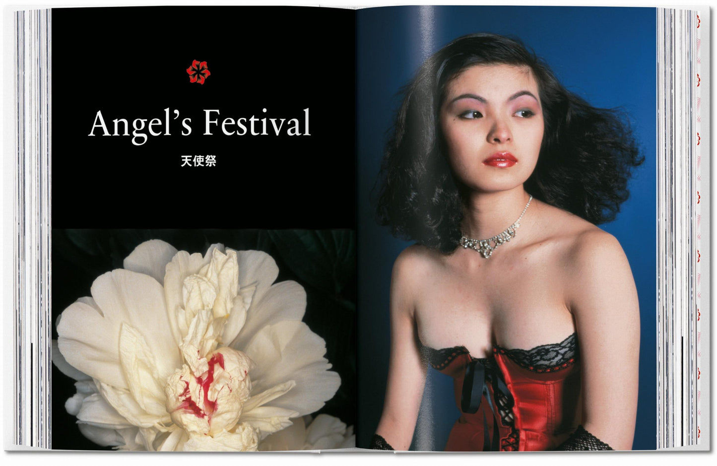 Araki. 40th Ed. (Adults only)