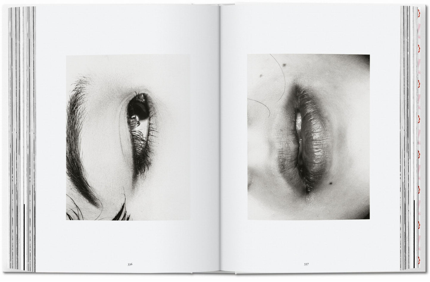 Araki. 40th Ed. (Adults only)