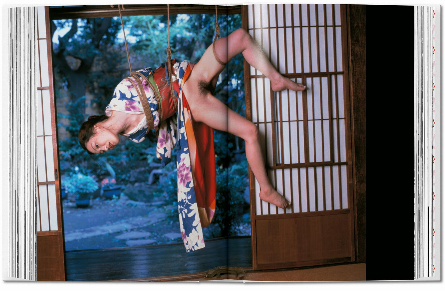 Araki. 40th Ed. (Adults only)