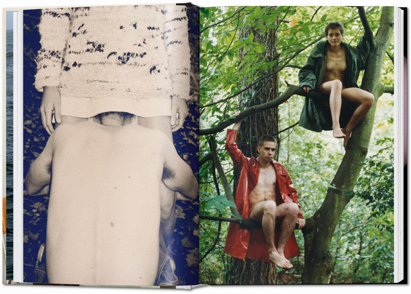 Wolfgang Tillmans. four books. 40th Ed.