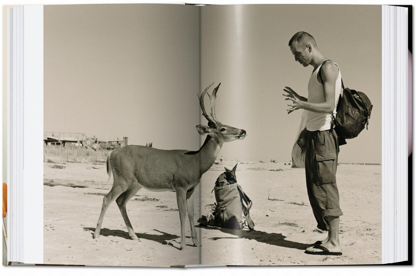 Wolfgang Tillmans. four books. 40th Ed.