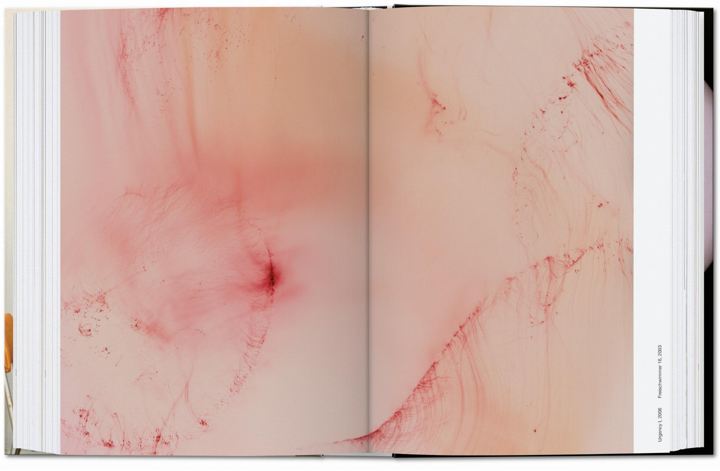 Wolfgang Tillmans. four books. 40th Ed.