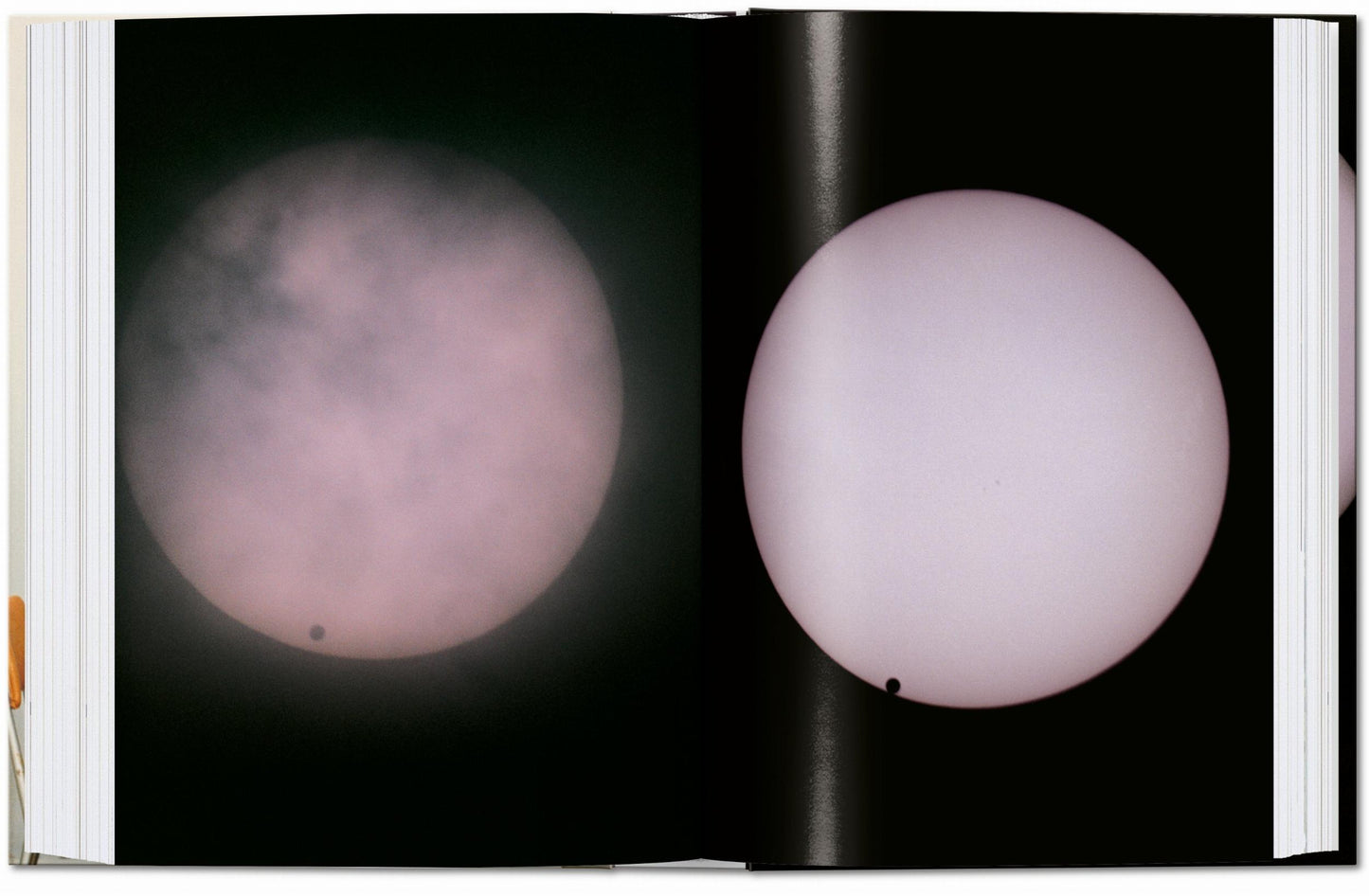 Wolfgang Tillmans. four books. 40th Ed.