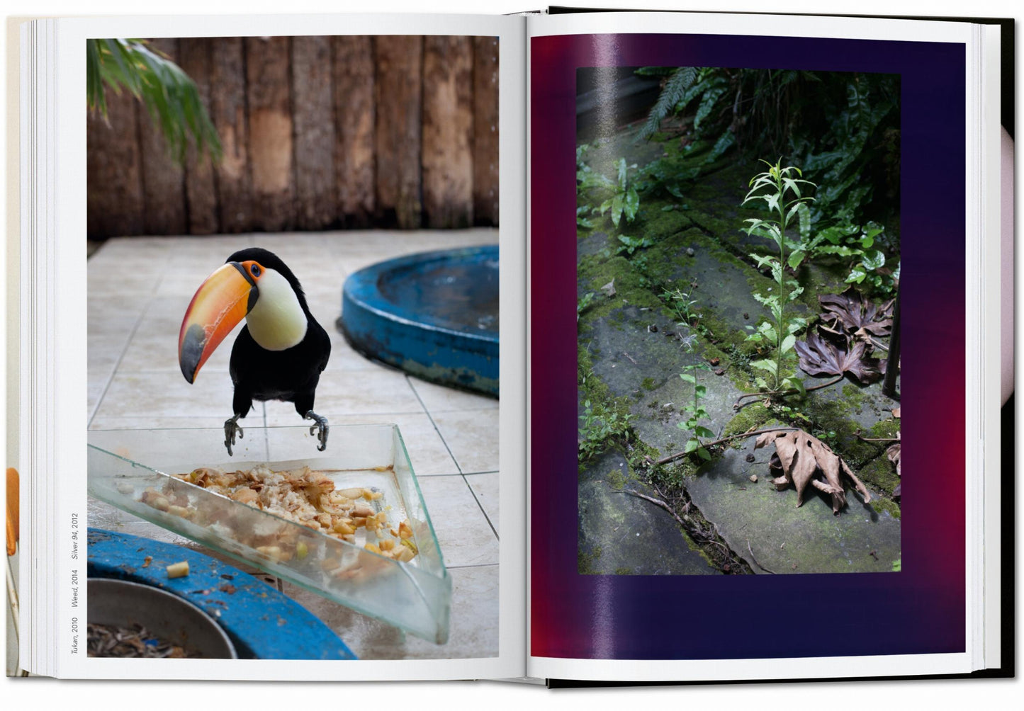 Wolfgang Tillmans. four books. 40th Ed.