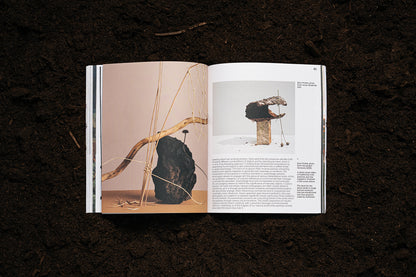 LMDA. “(Re)Connected to Nature. Nature-Driven Creative Practices in Design, Architecture, and Art. Vol 1