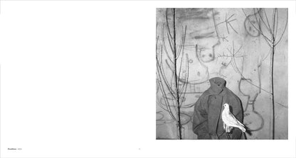 Roger Ballen. Asylum of the Birds
