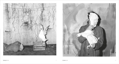 Roger Ballen. Asylum of the Birds