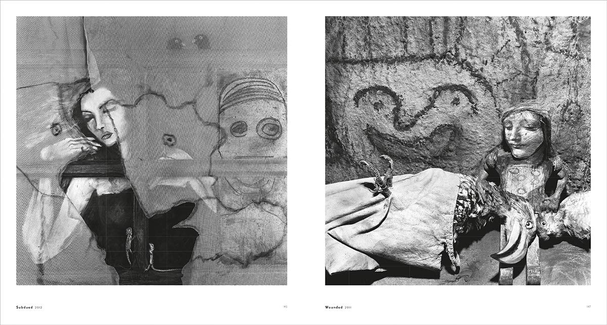 Roger Ballen. Asylum of the Birds