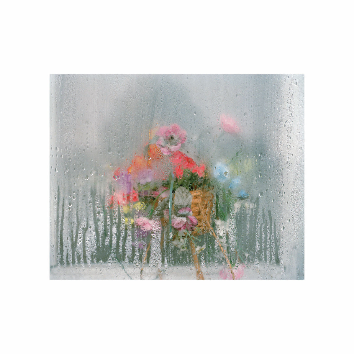 Andrew Miksys. Postcard "Plastic flowers #1"