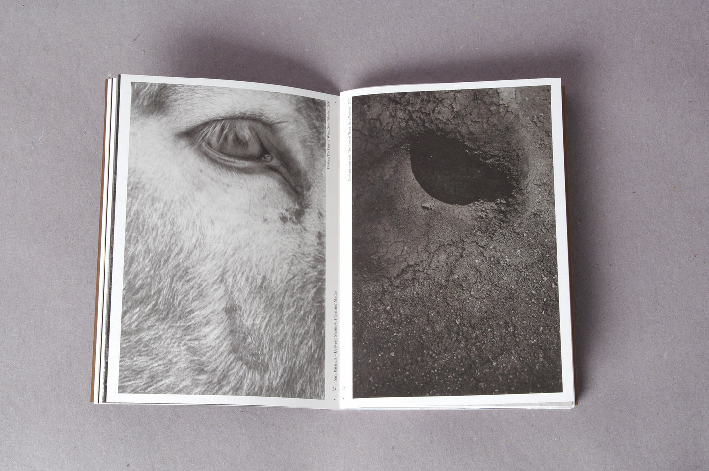 Sara Palmieri. Between Memory, Place and Matter