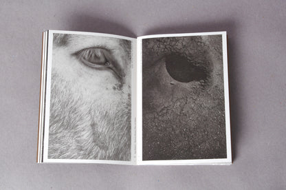 Sara Palmieri. Between Memory, Place and Matter