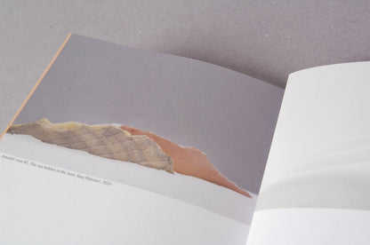 Sara Palmieri. Between Memory, Place and Matter