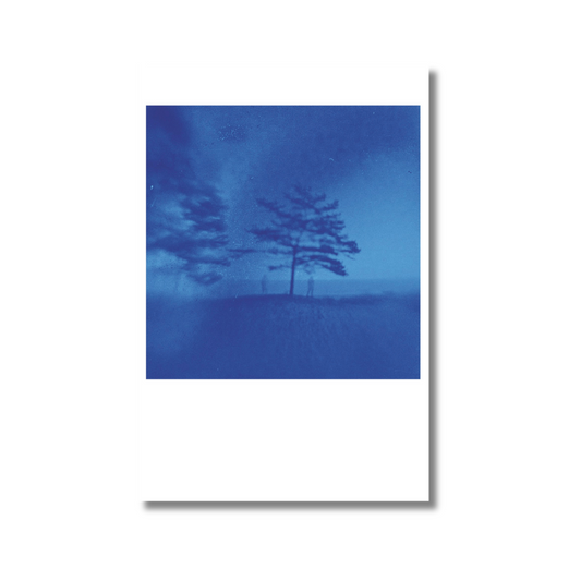 Madara Kvēpa. Postcard, 13.09.2024. from The Sea is Silent, Yet I Return