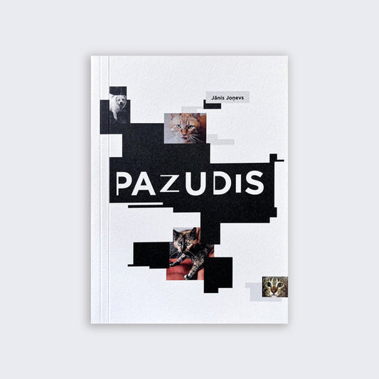Jānis Joņevs. Pazudis