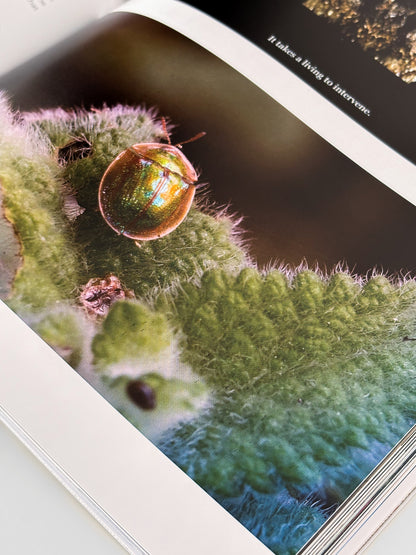 Riga Photography Biennial 2026 publication