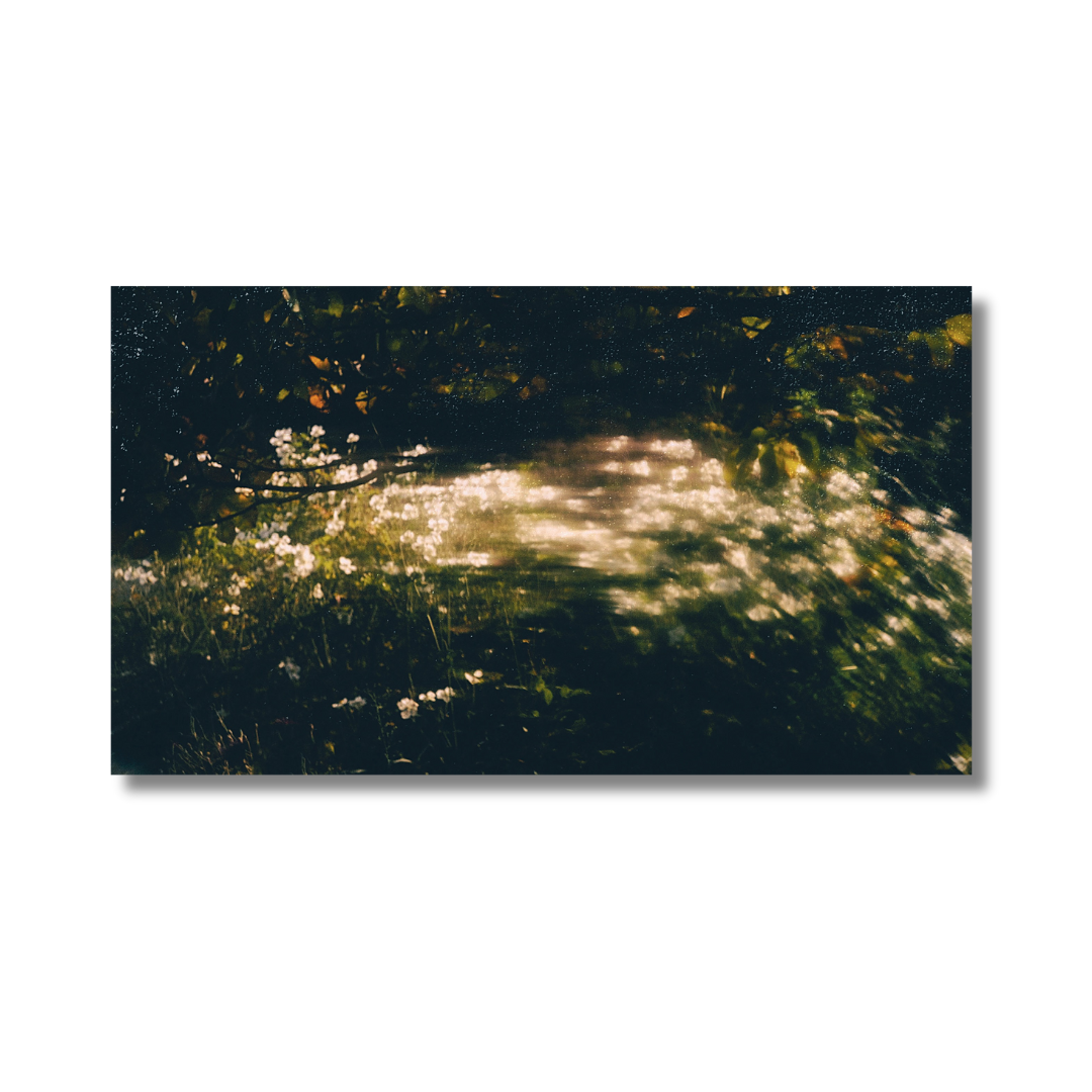 Perleverroterie. Postcard, Jardin, 2025