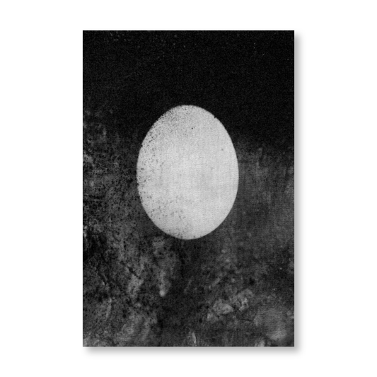 Rūta Kalmuka. Postcard, from "Dzen"