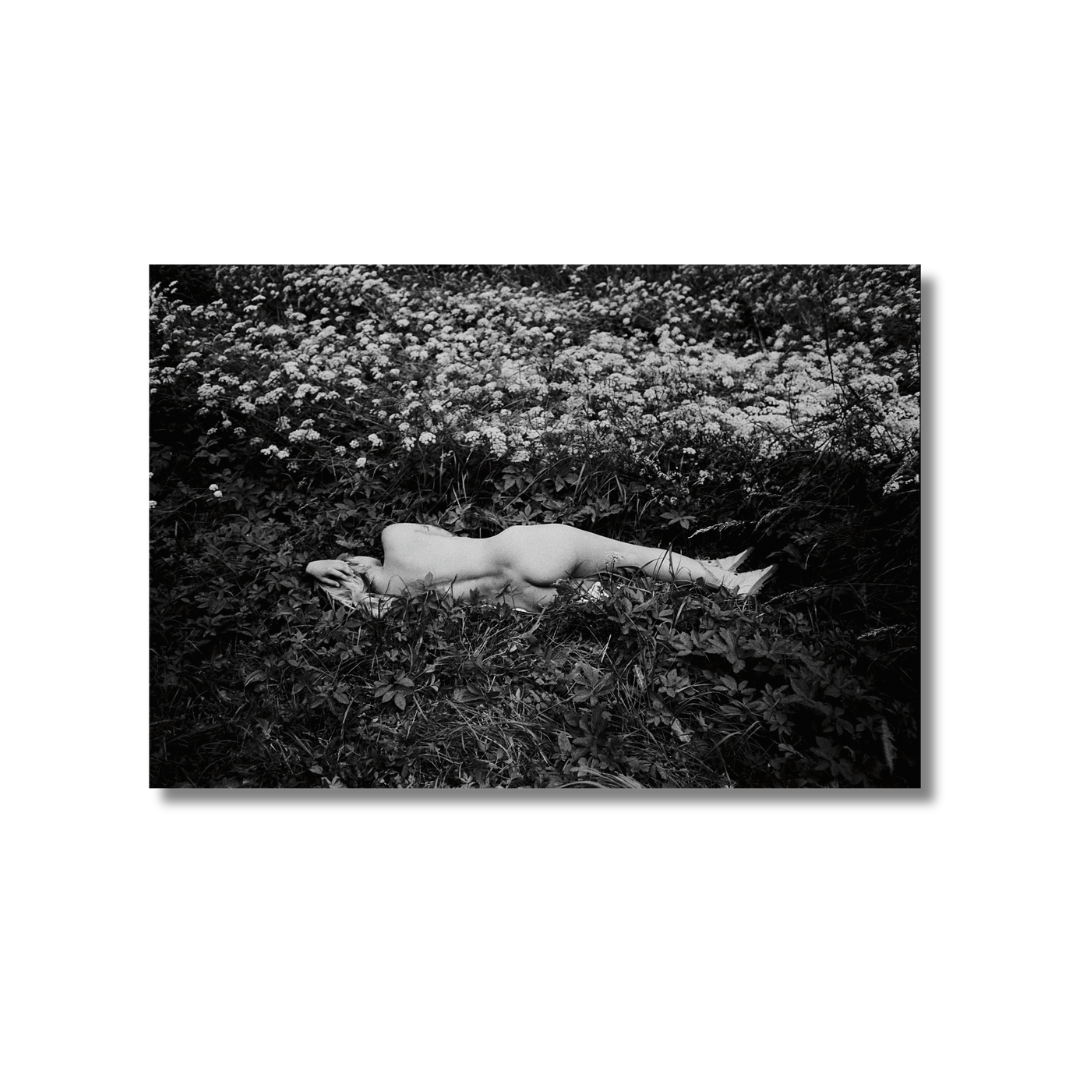 Vika Terekhovska. Postcard, from Vanishing series, 2025