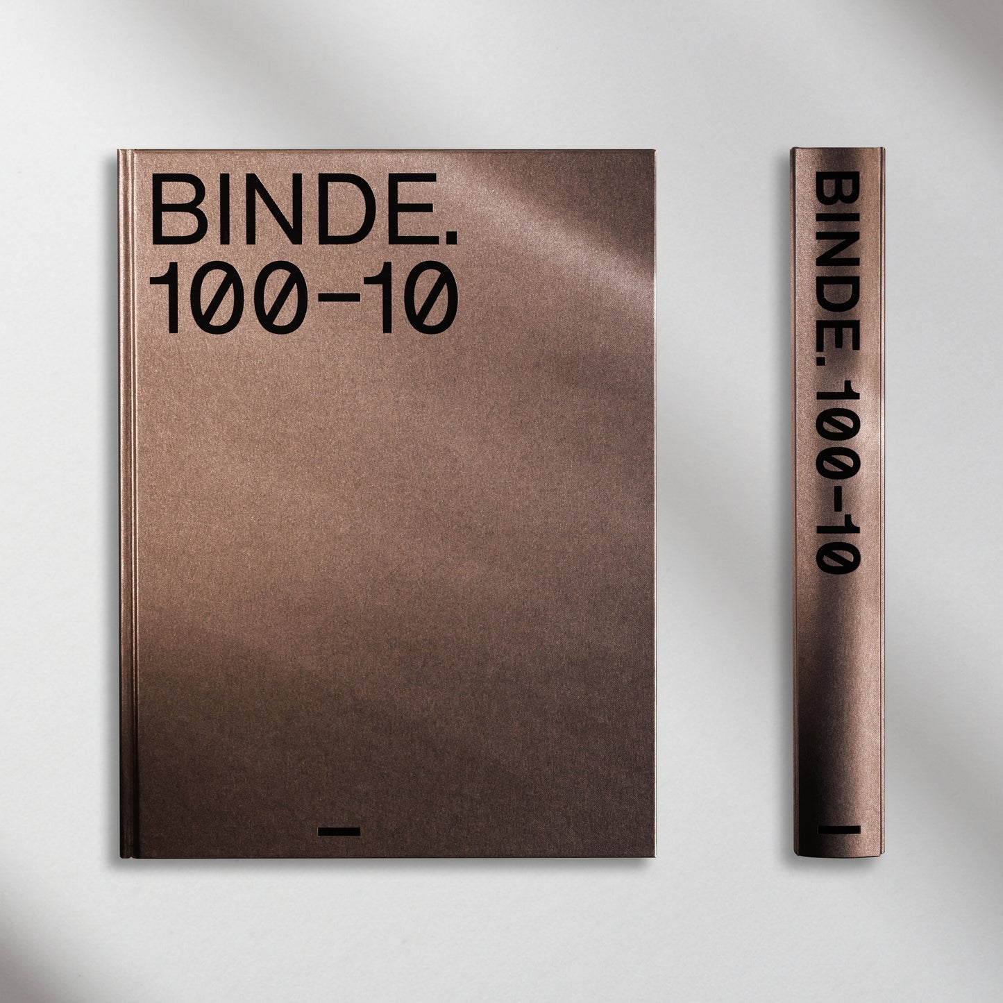 BINDE 100-10