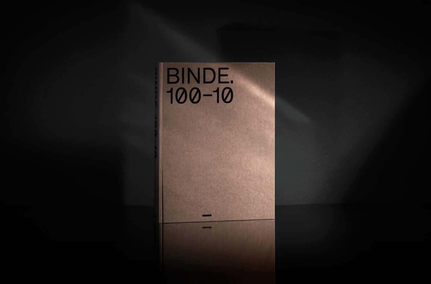 BINDE 100-10