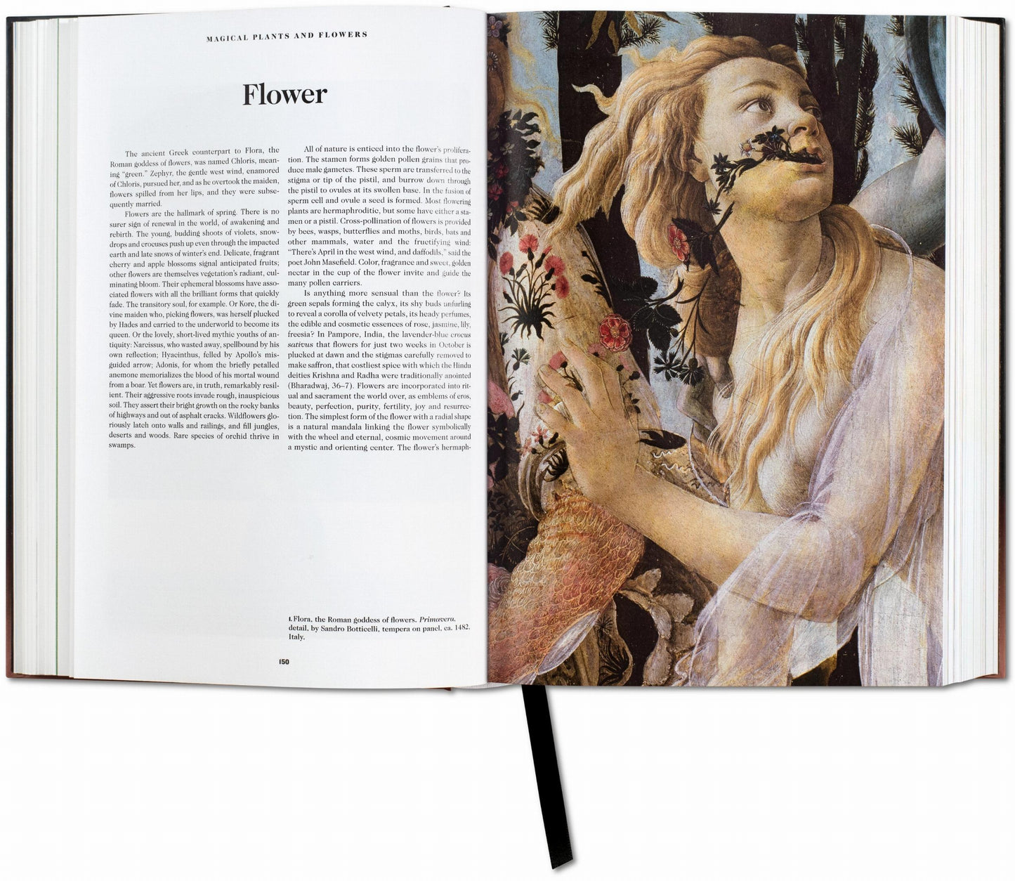 The Book of Symbols. Reflections on Archetypal Images