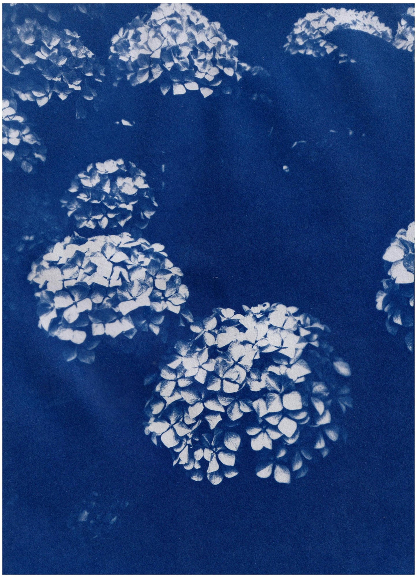 Cianotipijas komplets / Cyanotype kit