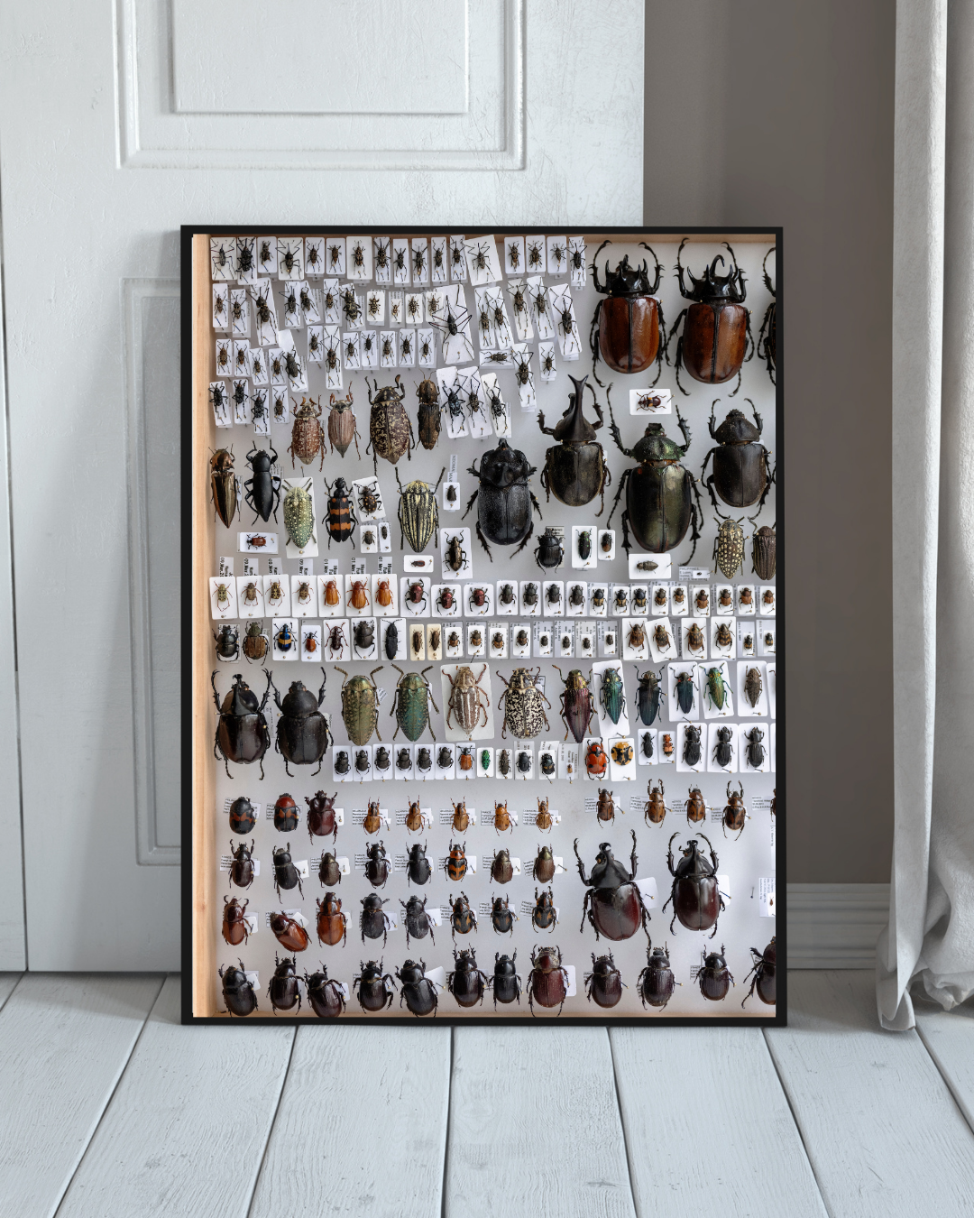 Reinis Hofmanis. Poster: from "Shared Horizon"