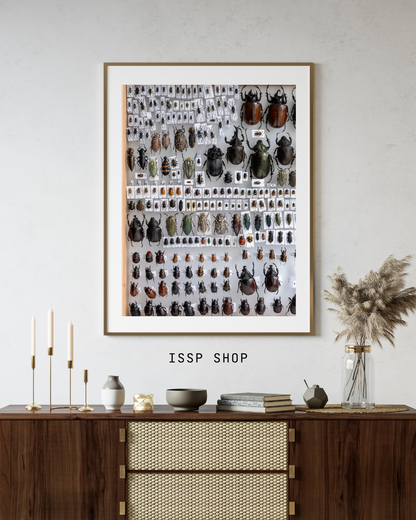 Reinis Hofmanis. Poster: from "Shared Horizon"