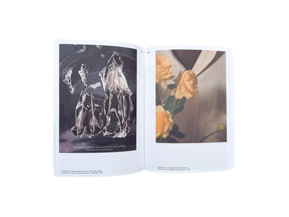 The Riga Photography Biennial NEXT 2025 publication