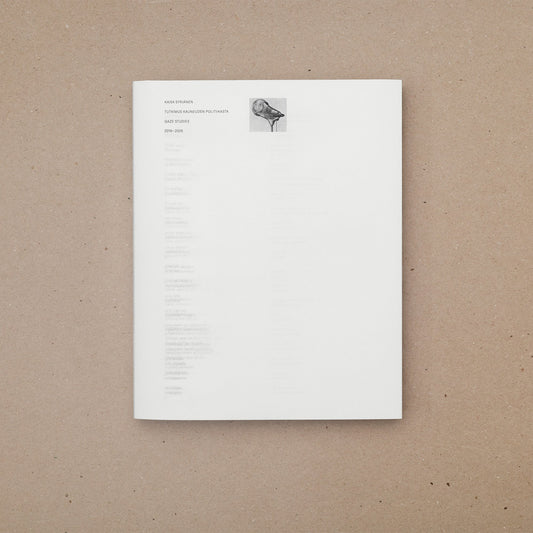 Kaisa Syrjänen. Tutkimus kauneuden politiikasta / Gaze Studies