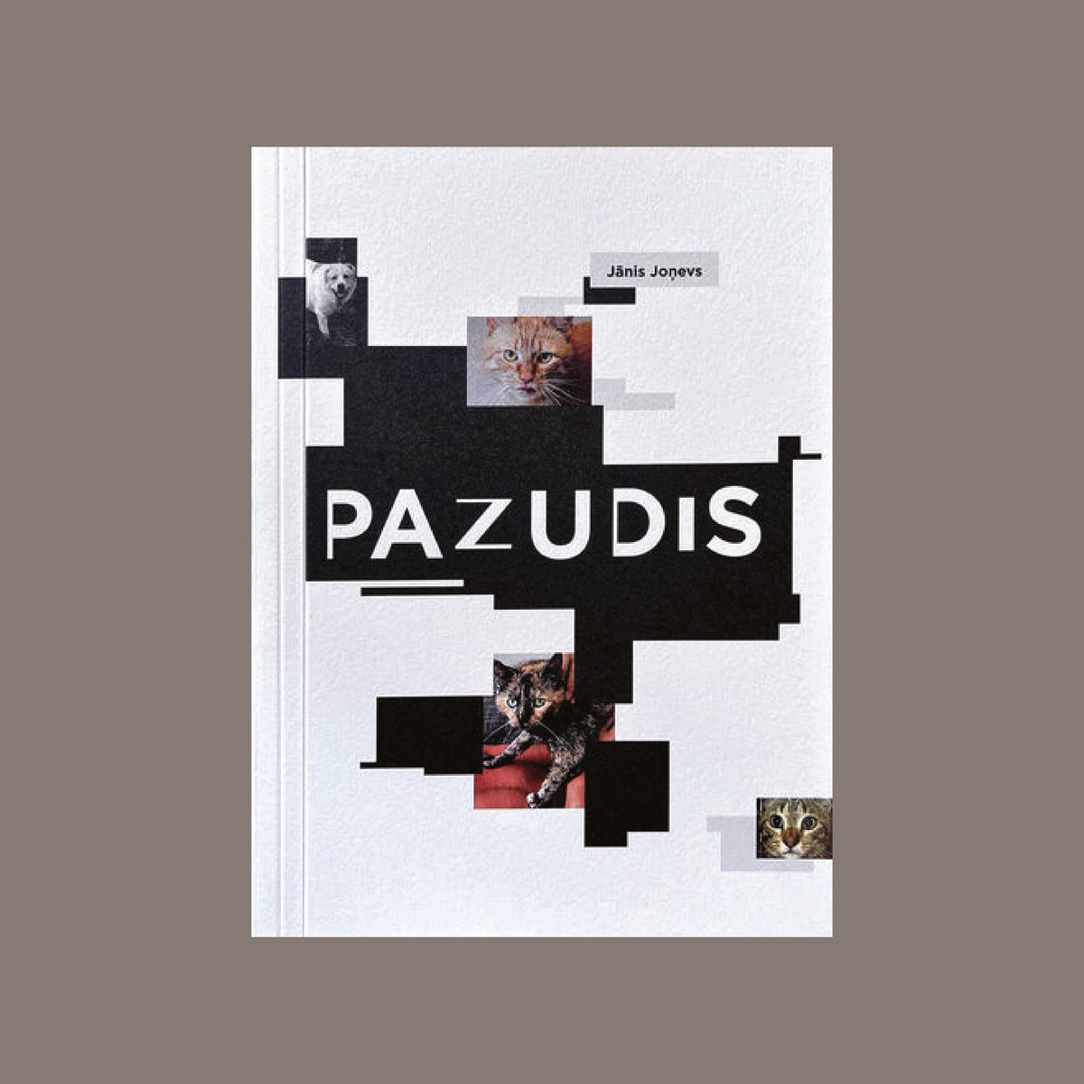 Jānis Joņevs. Pazudis